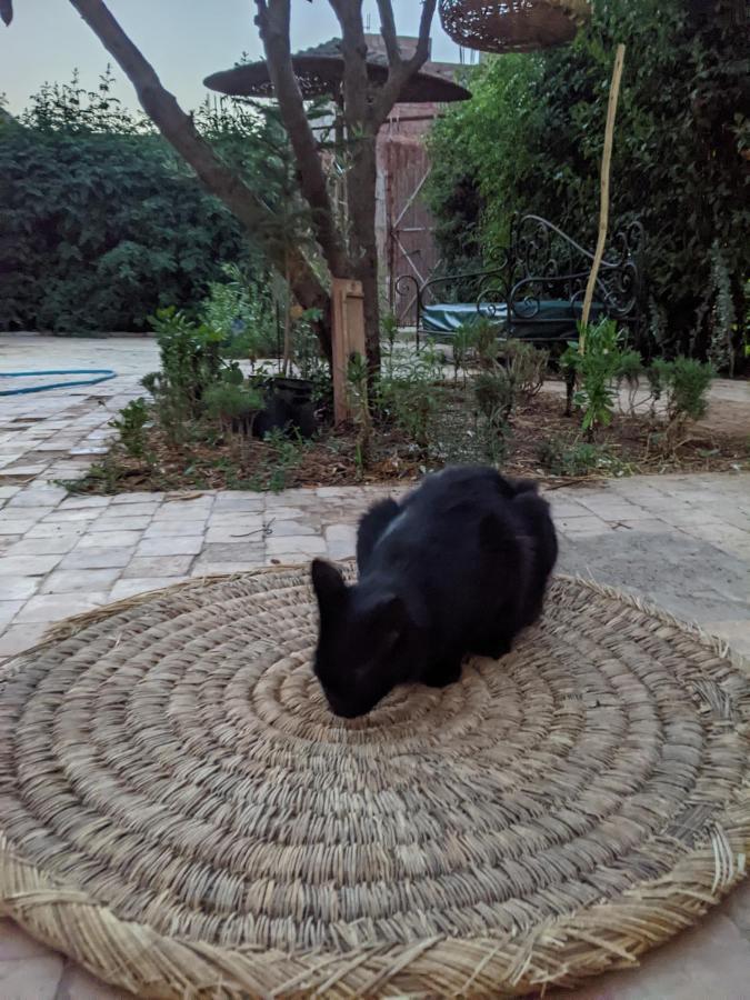 Dar Saafia Vila Marraquexe Exterior foto