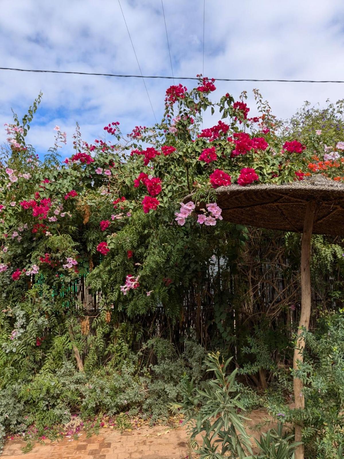 Dar Saafia Vila Marraquexe Exterior foto